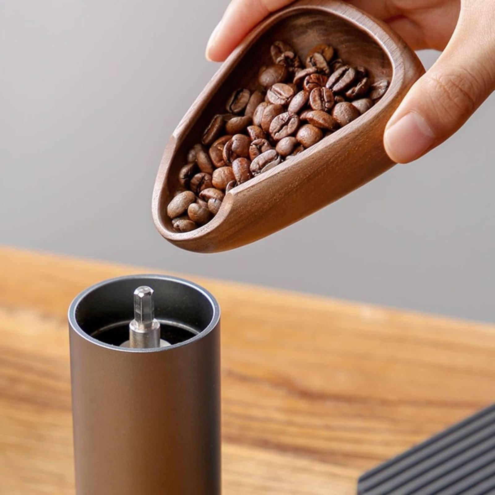 Nampan Takar Kopi dari Kayu So - Coffee Bean And Tea Leaf ulasan dan harga